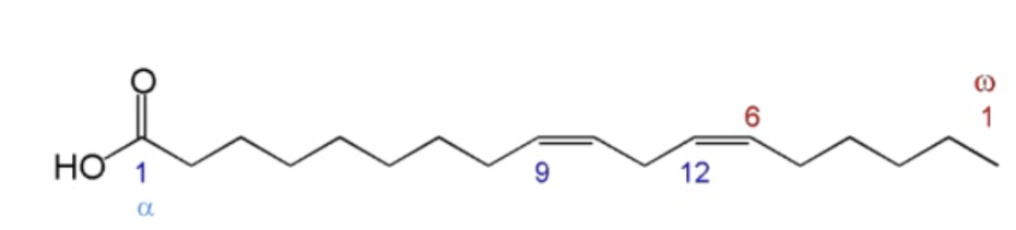 acidi grassi omega struttura