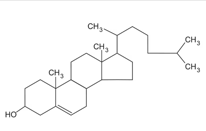 colesterolo struttura