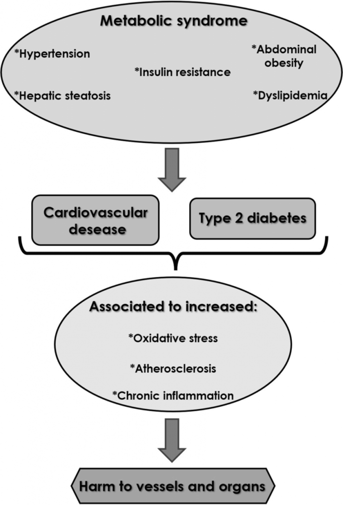 schema patogenesi sindrome metabolica