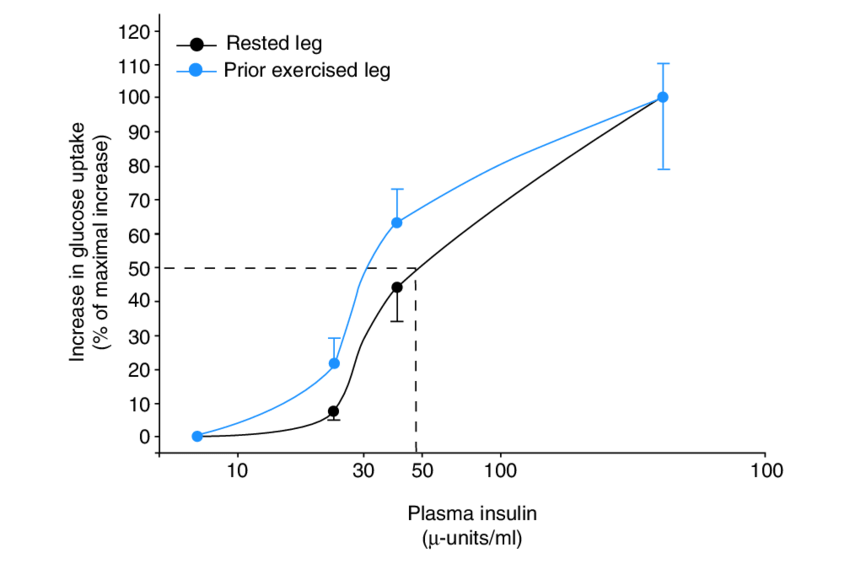 grafico insulino sensibilità e esercizio fisico